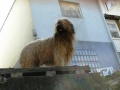 2014-04-19-15-18-49